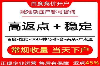 探索sem公司的策略与效果